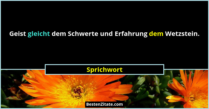 Geist gleicht dem Schwerte und Erfahrung dem Wetzstein.... - Sprichwort