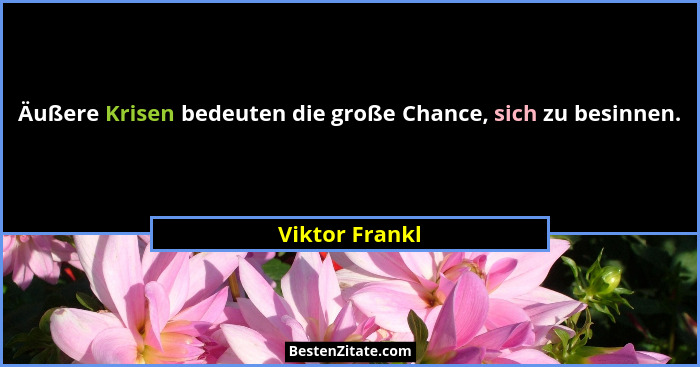 Äußere Krisen bedeuten die große Chance, sich zu besinnen.... - Viktor Frankl