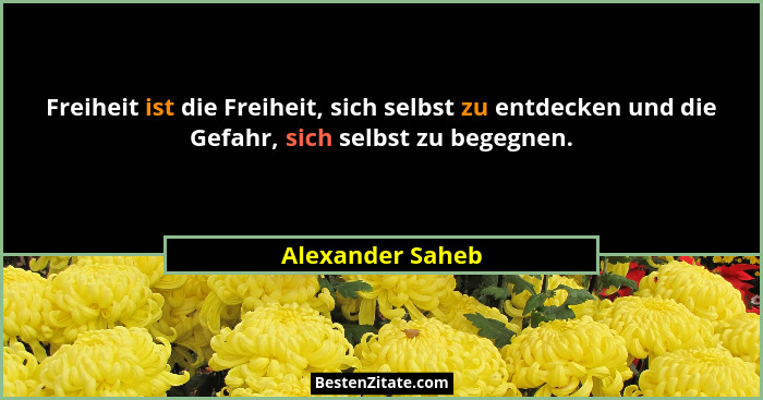 Freiheit ist die Freiheit, sich selbst zu entdecken und die Gefahr, sich selbst zu begegnen.... - Alexander Saheb