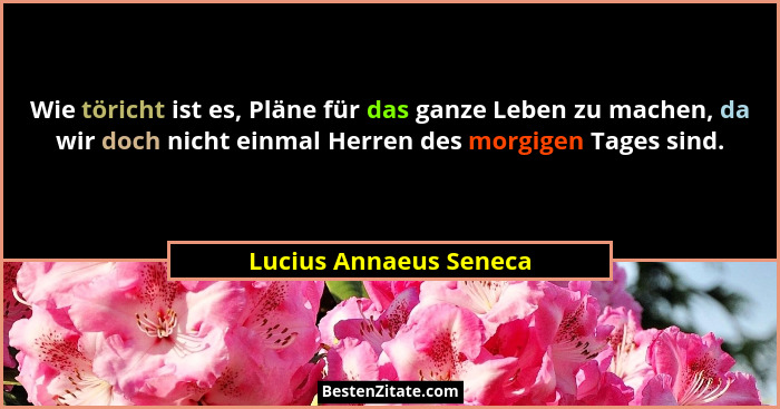 Wie töricht ist es, Pläne für das ganze Leben zu machen, da wir doch nicht einmal Herren des morgigen Tages sind.... - Lucius Annaeus Seneca