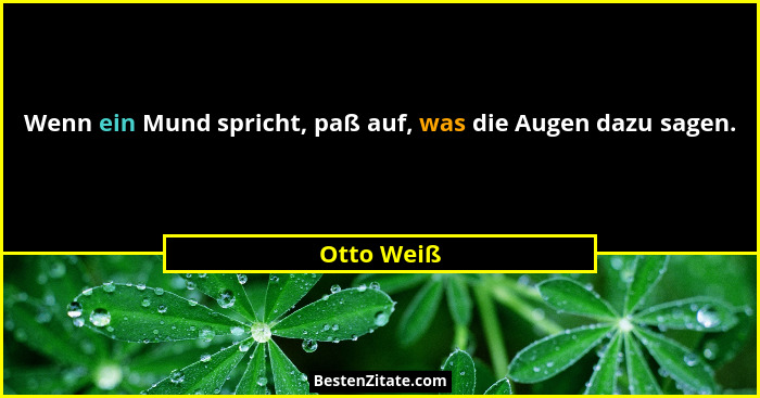 Wenn ein Mund spricht, paß auf, was die Augen dazu sagen.... - Otto Weiß