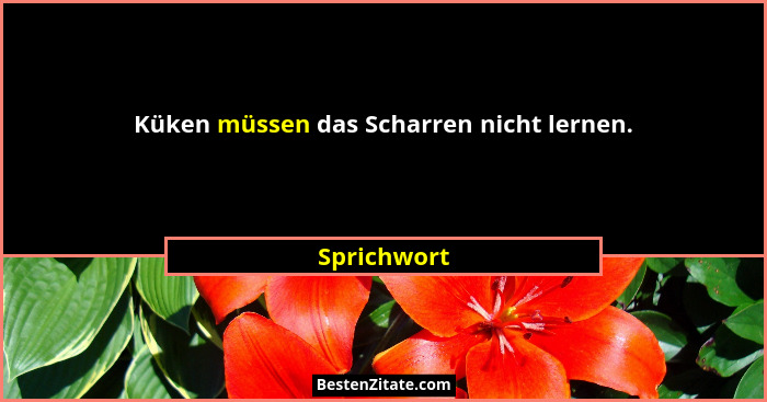 Küken müssen das Scharren nicht lernen.... - Sprichwort