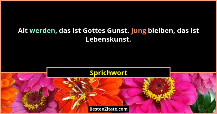Alt werden, das ist Gottes Gunst. Jung bleiben, das ist Lebenskunst.... - Sprichwort