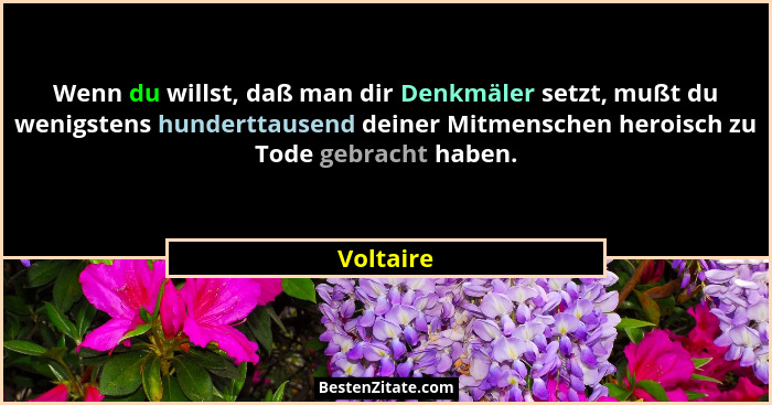 Wenn du willst, daß man dir Denkmäler setzt, mußt du wenigstens hunderttausend deiner Mitmenschen heroisch zu Tode gebracht haben.... - Voltaire
