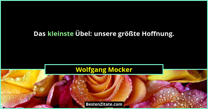 Das kleinste Übel: unsere größte Hoffnung.... - Wolfgang Mocker
