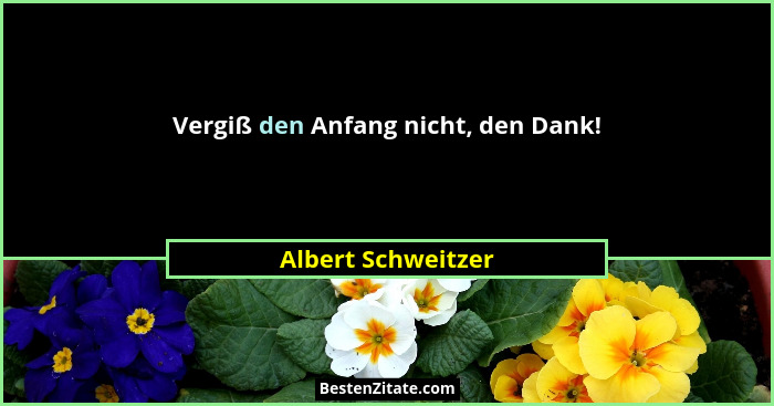 Vergiß den Anfang nicht, den Dank!... - Albert Schweitzer