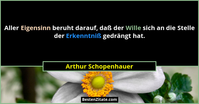 Aller Eigensinn beruht darauf, daß der Wille sich an die Stelle der Erkenntniß gedrängt hat.... - Arthur Schopenhauer