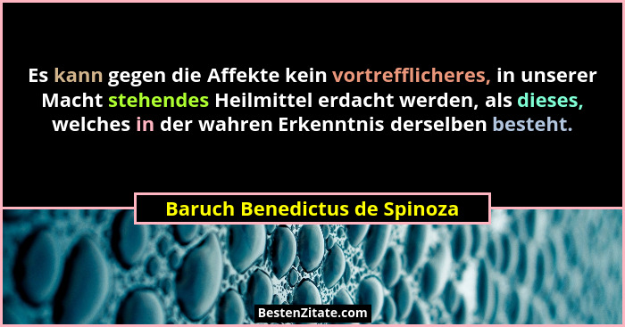Es kann gegen die Affekte kein vortrefflicheres, in unserer Macht stehendes Heilmittel erdacht werden, als dieses, welc... - Baruch Benedictus de Spinoza