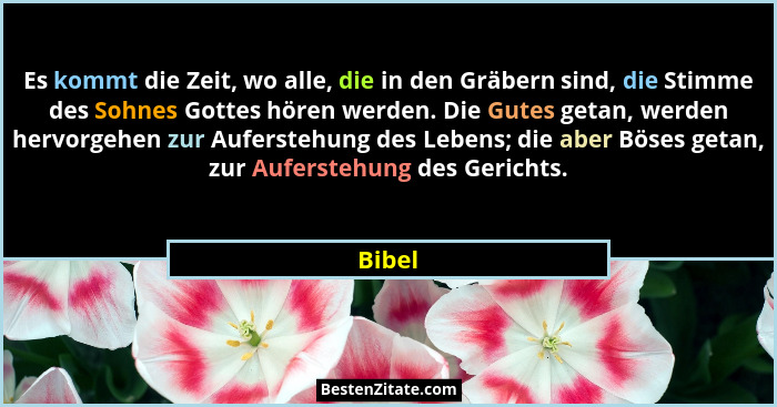 Es kommt die Zeit, wo alle, die in den Gräbern sind, die Stimme des Sohnes Gottes hören werden. Die Gutes getan, werden hervorgehen zur Aufers... - Bibel