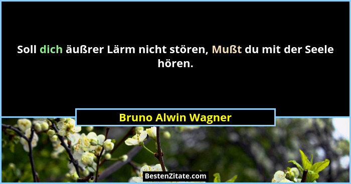 Soll dich äußrer Lärm nicht stören, Mußt du mit der Seele hören.... - Bruno Alwin Wagner
