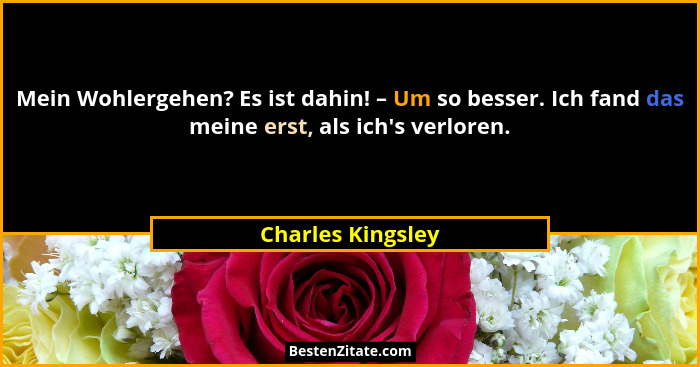 Mein Wohlergehen? Es ist dahin! – Um so besser. Ich fand das meine erst, als ich's verloren.... - Charles Kingsley