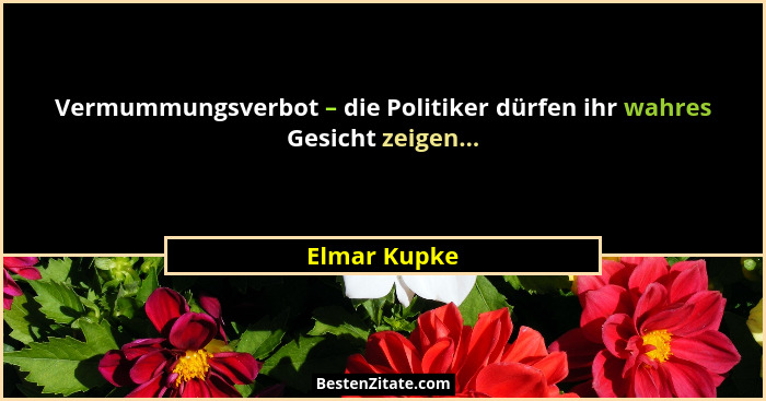 Vermummungsverbot – die Politiker dürfen ihr wahres Gesicht zeigen...... - Elmar Kupke