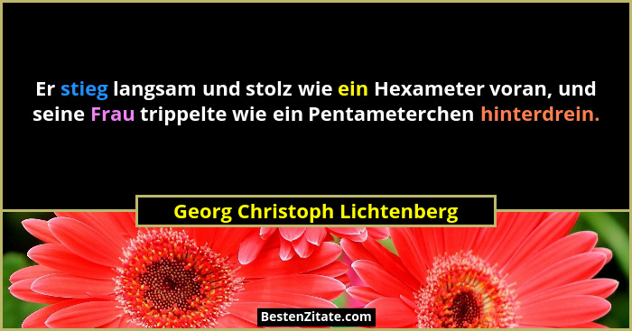 Er stieg langsam und stolz wie ein Hexameter voran, und seine Frau trippelte wie ein Pentameterchen hinterdrein.... - Georg Christoph Lichtenberg