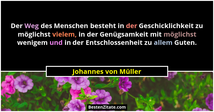 Der Weg des Menschen besteht in der Geschicklichkeit zu möglichst vielem, in der Genügsamkeit mit möglichst wenigem und in der E... - Johannes von Müller
