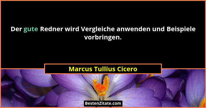 Der gute Redner wird Vergleiche anwenden und Beispiele vorbringen.... - Marcus Tullius Cicero