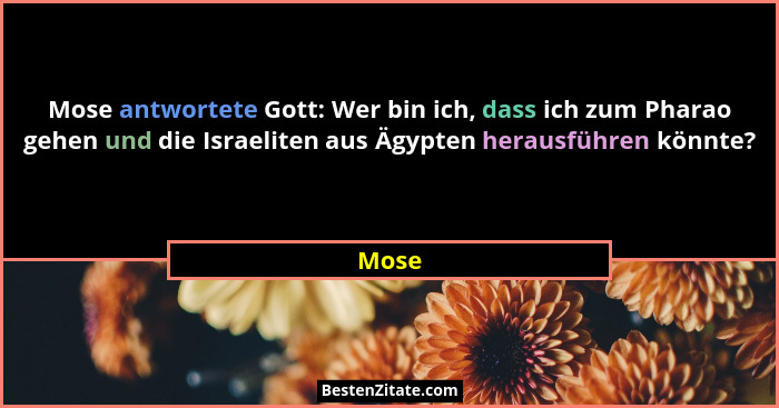 Mose antwortete Gott: Wer bin ich, dass ich zum Pharao gehen und die Israeliten aus Ägypten herausführen könnte?... - Mose