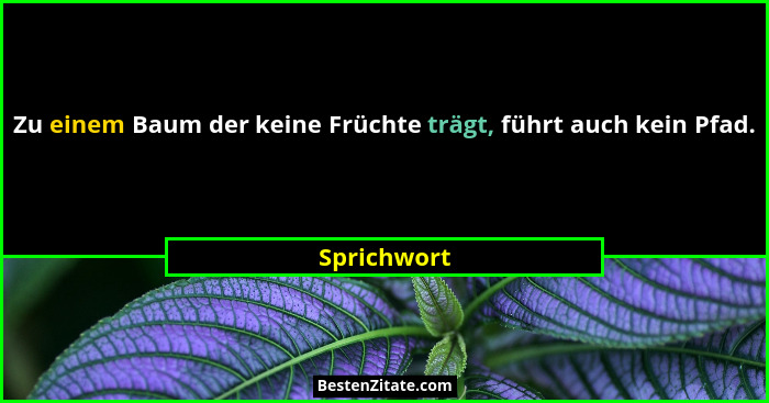 Zu einem Baum der keine Früchte trägt, führt auch kein Pfad.... - Sprichwort