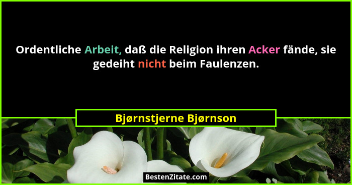 Ordentliche Arbeit, daß die Religion ihren Acker fände, sie gedeiht nicht beim Faulenzen.... - Bjørnstjerne Bjørnson