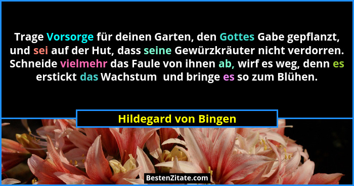 Trage Vorsorge für deinen Garten, den Gottes Gabe gepflanzt, und sei auf der Hut, dass seine Gewürzkräuter nicht verdorren. Sch... - Hildegard von Bingen