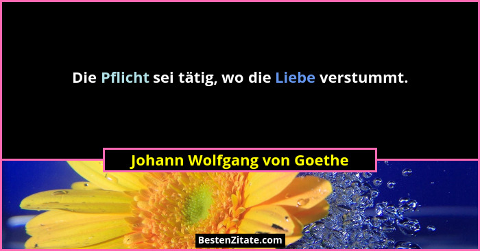 Die Pflicht sei tätig, wo die Liebe verstummt.... - Johann Wolfgang von Goethe