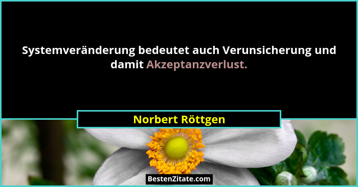 Systemveränderung bedeutet auch Verunsicherung und damit Akzeptanzverlust.... - Norbert Röttgen