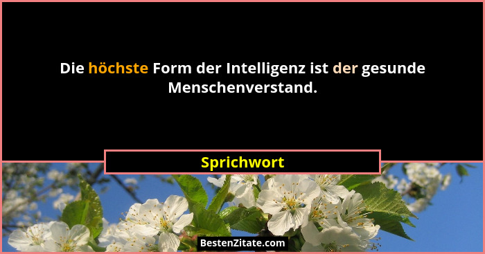 Die höchste Form der Intelligenz ist der gesunde Menschenverstand.... - Sprichwort