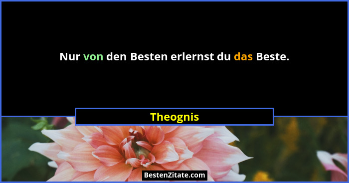 Nur von den Besten erlernst du das Beste.... - Theognis