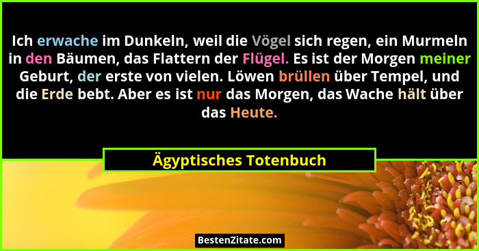 Ich erwache im Dunkeln, weil die Vögel sich regen, ein Murmeln in den Bäumen, das Flattern der Flügel. Es ist der Morgen meine... - Ägyptisches Totenbuch