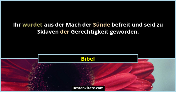 Ihr wurdet aus der Mach der Sünde befreit und seid zu Sklaven der Gerechtigkeit geworden.... - Bibel