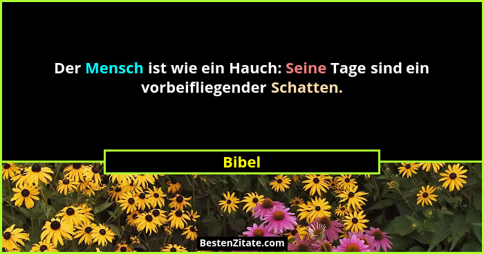 Der Mensch ist wie ein Hauch: Seine Tage sind ein vorbeifliegender Schatten.... - Bibel