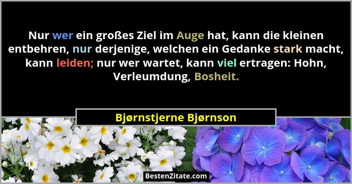 Nur wer ein großes Ziel im Auge hat, kann die kleinen entbehren, nur derjenige, welchen ein Gedanke stark macht, kann leiden;... - Bjørnstjerne Bjørnson