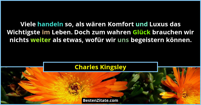 Viele handeln so, als wären Komfort und Luxus das Wichtigste im Leben. Doch zum wahren Glück brauchen wir nichts weiter als etwas,... - Charles Kingsley