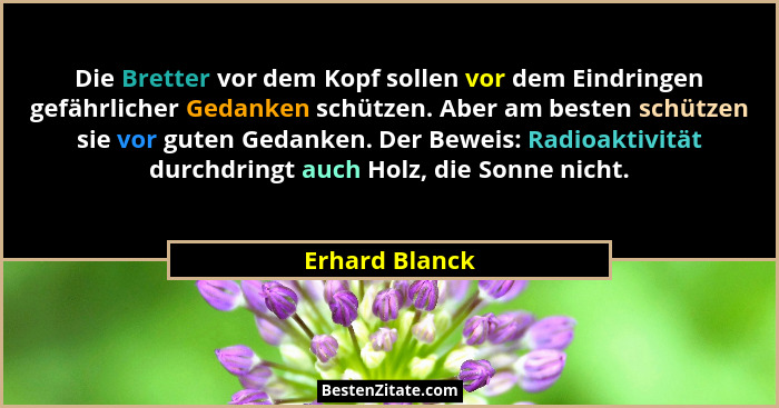 Die Bretter vor dem Kopf sollen vor dem Eindringen gefährlicher Gedanken schützen. Aber am besten schützen sie vor guten Gedanken. Der... - Erhard Blanck