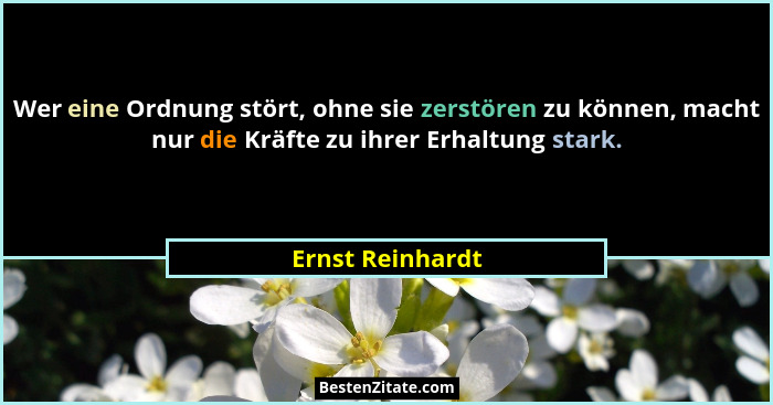 Wer eine Ordnung stört, ohne sie zerstören zu können, macht nur die Kräfte zu ihrer Erhaltung stark.... - Ernst Reinhardt