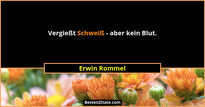 Vergießt Schweiß - aber kein Blut.... - Erwin Rommel