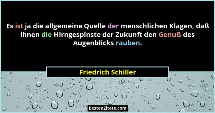 Es ist ja die allgemeine Quelle der menschlichen Klagen, daß ihnen die Hirngespinste der Zukunft den Genuß des Augenblicks rauben... - Friedrich Schiller