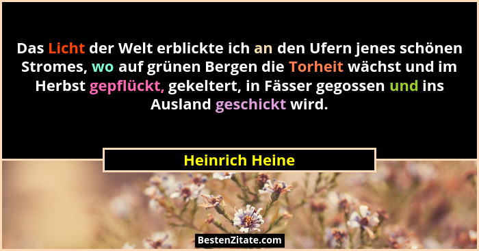 Das Licht der Welt erblickte ich an den Ufern jenes schönen Stromes, wo auf grünen Bergen die Torheit wächst und im Herbst gepflückt,... - Heinrich Heine
