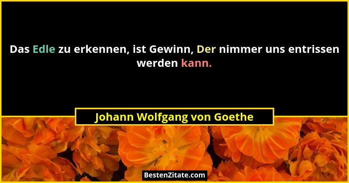 Das Edle zu erkennen, ist Gewinn, Der nimmer uns entrissen werden kann.... - Johann Wolfgang von Goethe
