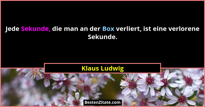 Jede Sekunde, die man an der Box verliert, ist eine verlorene Sekunde.... - Klaus Ludwig