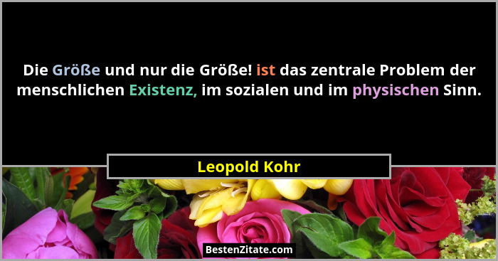 Die Größe und nur die Größe! ist das zentrale Problem der menschlichen Existenz, im sozialen und im physischen Sinn.... - Leopold Kohr