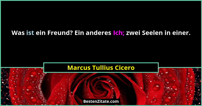 Was ist ein Freund? Ein anderes Ich; zwei Seelen in einer.... - Marcus Tullius Cicero