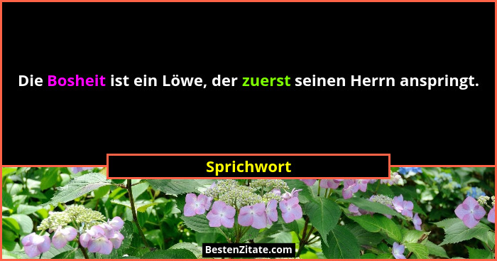 Die Bosheit ist ein Löwe, der zuerst seinen Herrn anspringt.... - Sprichwort