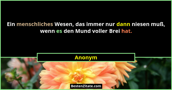 Ein menschliches Wesen, das immer nur dann niesen muß, wenn es den Mund voller Brei hat.... - Anonym