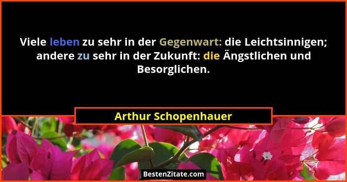 Viele leben zu sehr in der Gegenwart: die Leichtsinnigen; andere zu sehr in der Zukunft: die Ängstlichen und Besorglichen.... - Arthur Schopenhauer