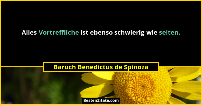 Alles Vortreffliche ist ebenso schwierig wie selten.... - Baruch Benedictus de Spinoza