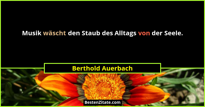 Musik wäscht den Staub des Alltags von der Seele.... - Berthold Auerbach