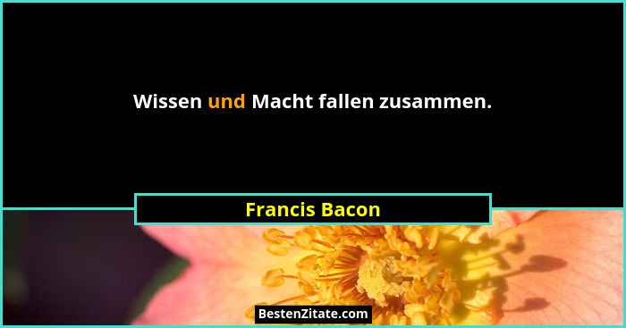 Wissen und Macht fallen zusammen.... - Francis Bacon