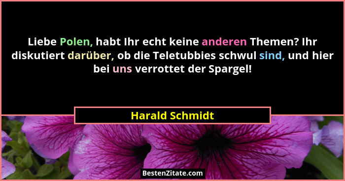 Liebe Polen, habt Ihr echt keine anderen Themen? Ihr diskutiert darüber, ob die Teletubbies schwul sind, und hier bei uns verrottet d... - Harald Schmidt