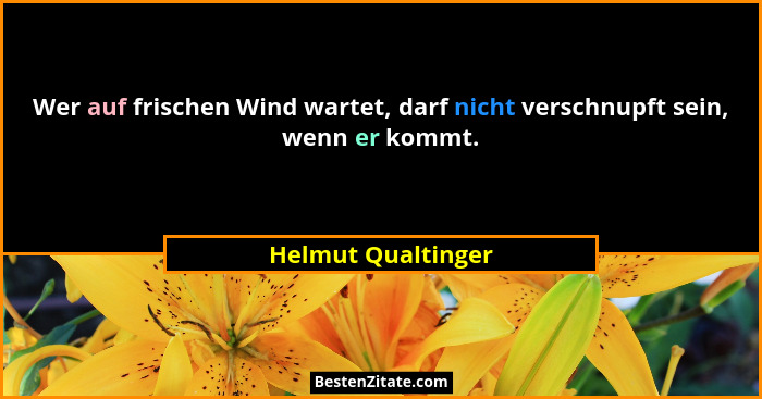 Wer auf frischen Wind wartet, darf nicht verschnupft sein, wenn er kommt.... - Helmut Qualtinger