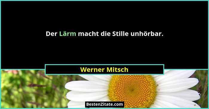 Der Lärm macht die Stille unhörbar.... - Werner Mitsch